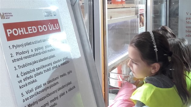 Nau�n� v�el� stezka v mosteck� knihovn�