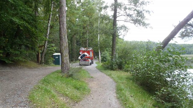 Rov zabarven Kamennho rybnku v Plzni zpsobila bakterie.