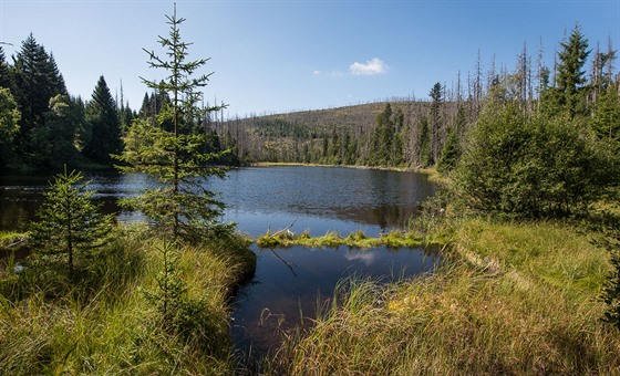 Jezero Laka je nejmenší a nejvýše položené na Šumavě.