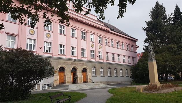 Zneuíváním dvou nezletilých chlapc se zabýval Okresní soud v Klatovech. 
