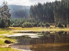 Nov rybnk ve Slavkovskm lese vyhlsila Sprva CHKO Slavkovsk les chrnnm...