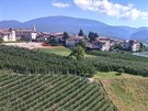 Jablené sady v trentinském údolí Val di Non