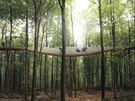 Na Treetop Experience najdete celkem desítku zábavných i nauných zastávek...