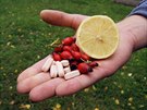 Vitamin C a jeho pírodní i umlé zdroje