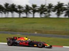 Daniel Ricciardo bojuje ve Velké cen Malajsie.