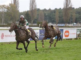 A U UHÁNÍ DO CÍLE. 127. Velkou pardubickou ovládl No Time To Lose v sedle s...