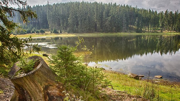 Nov rybnk ve Slavkovskm lese vyhlsila Sprva CHKO Slavkovsk les chrnnm zemm zejmna kvli vskytu ady druh vek.