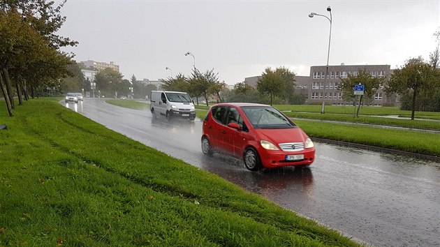 Frekventovan silnice dky dlcmu psu asto lk chodce k riskantnmu pechzen. Star ena na to doplatila ivotem.