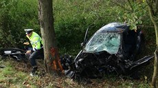 V sobotu dopoledne dostalo auto smyk a narazilo do stromu na Beneovsku (7....