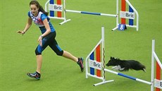 Mistrovství svta v agility se konalo v Liberci (6. íjna 2017).
