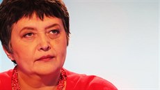 Bývalá ministryně pro lidská práva a kandidátka za TOP 09 Džamila Stehlíková...