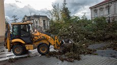 tvrtení mohutný vítr porazil památný strom ve Varnsdorfu.