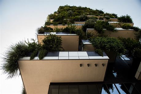 Detailn pohled na zele na budov Bosco Verticale (vertikln les) v Miln