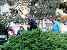 Skupinky, které tvoí vtinou bezdomovci, obsadily Husv park v Táboe. asto...