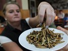 Hmyz urený ke konzumaci je podle kuchae Milana Václavíka speciáln...