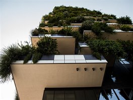 Detailn pohled na zele na budov Bosco Verticale (vertikln les) v Miln