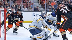 Anaheim útoí, ve stehu je branká Buffala Chad Johnson.