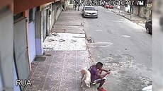 Braziltí pouliní psi na lidi z vysoka ... urají