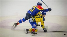 Momentka z duelu prvoligových hokejist� �eských Bud�jovic a P�erova (�lutá)