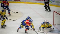 Momentka z prvoligového duelu České Budějovice vs. Přerov (žlutá)