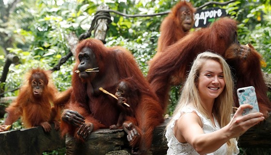 Ukrajinská tenistka Elina Svitolinová se v oceňované singapurské zoo vyfotila s...
