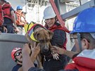Američtí námořníci pomáhají zachránit psa, který se příhodně jmenuje Zeus. Ten...