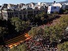 Demonstrace v Barcelon za jednotné panlsko. Podle organizátor se protestu...