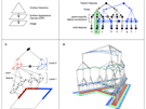 Struktura neuronové sít inspirované lidským mozkem optimalizovaná pro...