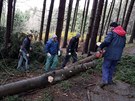 Nkolik len ze sboru dobrovolných hasi Hlavov odstraují popadané stromy u...