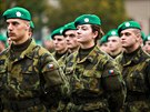 P��sahu slo�ili nov� voj�ci na n�m�st� Svobody v Brn�. Obvykle se tento...