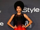 Zendaya na InStyle Awards (Los Angeles, 23. íjna 2017)