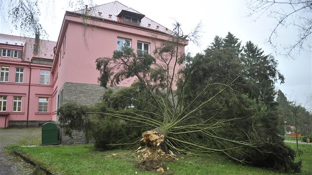 Na pavilon psychiatrick lebny v Havlkov Brod spadl strom (29. jna 2017)