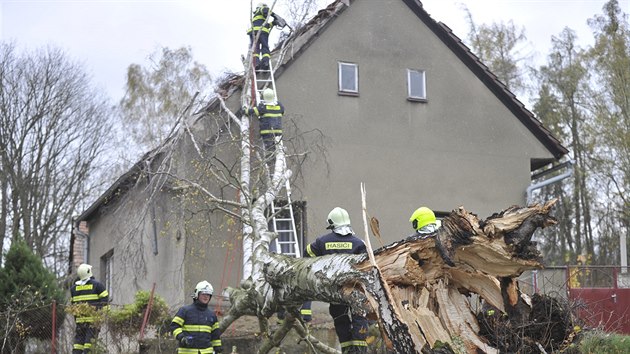 Hasii odstrauj strom, kter spadl na stechu rodinnho domu v Pedboi u Luk...