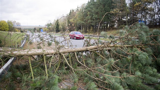 Strom spadl na dlnin pivad I/38 u Pvova u Jihlavy (29. jna 2017)