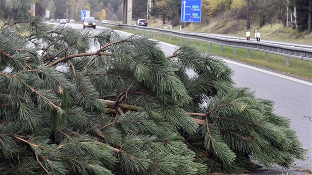 Na dlninm pivadi u Jihlavy spadly dv borovice na vozovku a zatarasily jeden jzdn pruh (29. jna 2017)