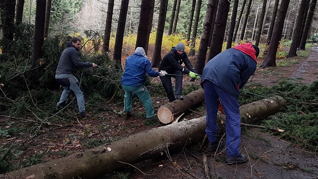 Několik členů ze sboru dobrovolných hasičů Hlavňov odstraňují popadané stromy u parkoviště do skalního města Hvězda na Broumovsku (29.10.2017).