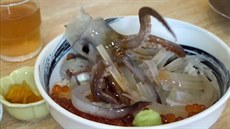 Živá chobotnice na talíři