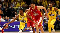 Norris Cole (ve lutém) z Maccabi Tel Aviv uniká Kostasi Papanikolauovi z...