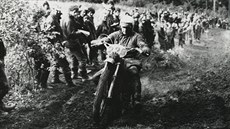 Motocyklové závody po hebenech Krkono se na národním parku drsn podepsaly.