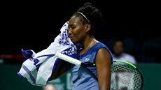 Američanka Venus Williamsová si ručníkem stírá pot z čela během utkání na...