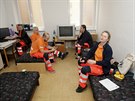 Záchranná sluba v Suici nala doasný azyl u hasi. (30. 10. 2017)