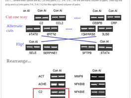 Kritika studie Shaw et al. 2017 na vdeck komunitn platform PubPeer: nkres...