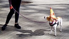 Za jednotné panlsko se demonstrovalo napíklad v Barcelon. (29. íjna 2017)