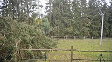 U Luk nad Jihlavou popadaly stromy na elektrické vedení.