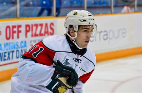 Filip Zadina se stal novákem msíce íjna v kanadské QMJHL.