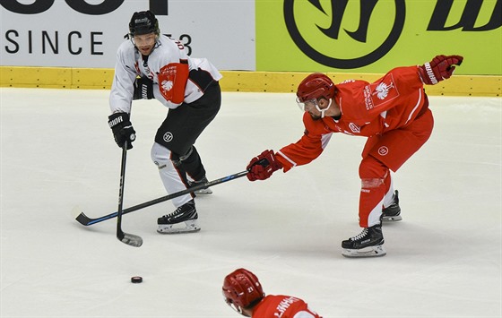 Třinecký Milan Mikulík se snaží zastavit Johana Olofssona z Mälmo.