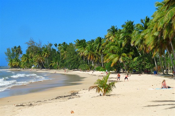 Jako v ráji. Pláž Las Terrenas v Dominikánské republice