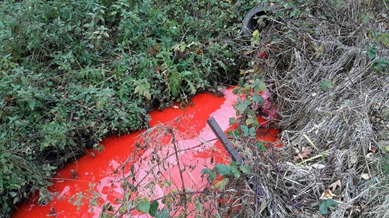 Obyvatele Jednova na Prostjovsku vylekalo syt rudé zbarvení vody v kanalizaci.
