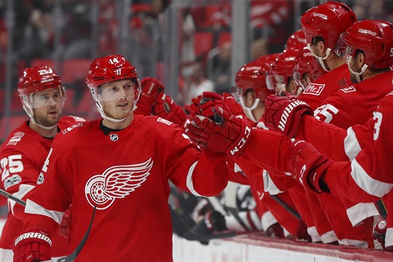 Gustav Nyquist slaví se spoluhrái z Detroitu gól.