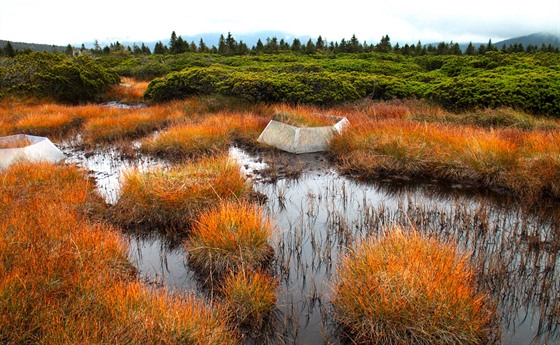 Západokrkonoská náhorní planina mezi Kotlem (1435 m n. m.) a státní hranicí...